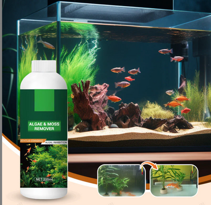 ⏰⏰⏰Laatste 3 uur: Gratis levering💥 Algen- en mosverwijderaar voor aquarium - Veilige waterzuivering