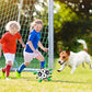 🎁🐕Speelgoed voor honden⚽