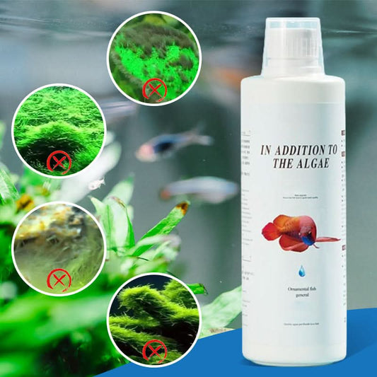 Effectieve algenbestrijding voor aquariums