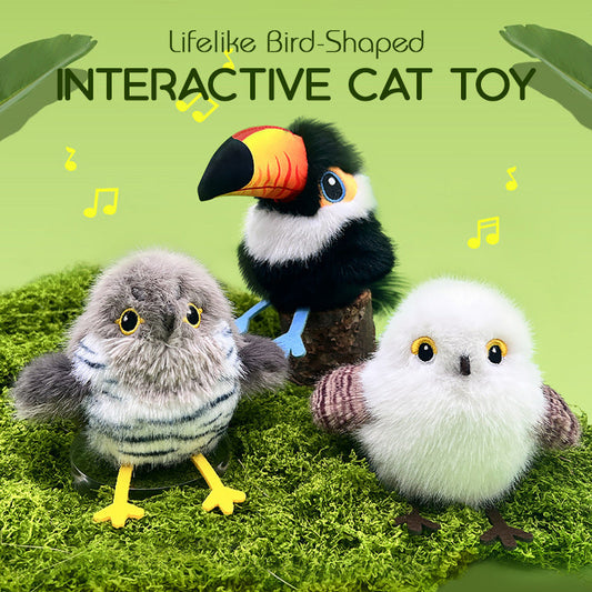 🔥🔥Interactief kattenspeeltje in de vorm van een realistische vogel