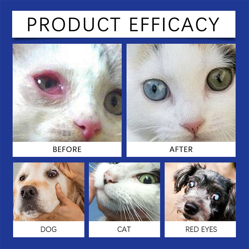 👁️🐾 ¡50% DE DESCUENTO! Gotas Oculares Universales para Perros y Gatos – Limpian Legañas, Calman Irritación y Protegen la Vista ✨
