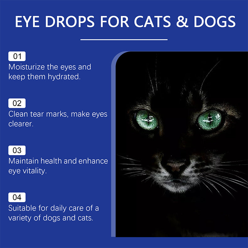 👁️🐾 ¡50% DE DESCUENTO! Gotas Oculares Universales para Perros y Gatos – Limpian Legañas, Calman Irritación y Protegen la Vista ✨
