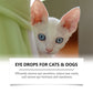 👁️🐾 ¡50% DE DESCUENTO! Gotas Oculares Universales para Perros y Gatos – Limpian Legañas, Calman Irritación y Protegen la Vista ✨