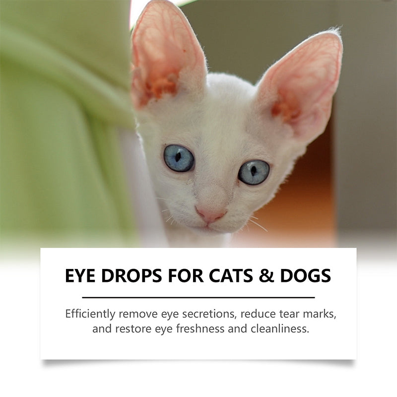 👁️🐾 ¡50% DE DESCUENTO! Gotas Oculares Universales para Perros y Gatos – Limpian Legañas, Calman Irritación y Protegen la Vista ✨